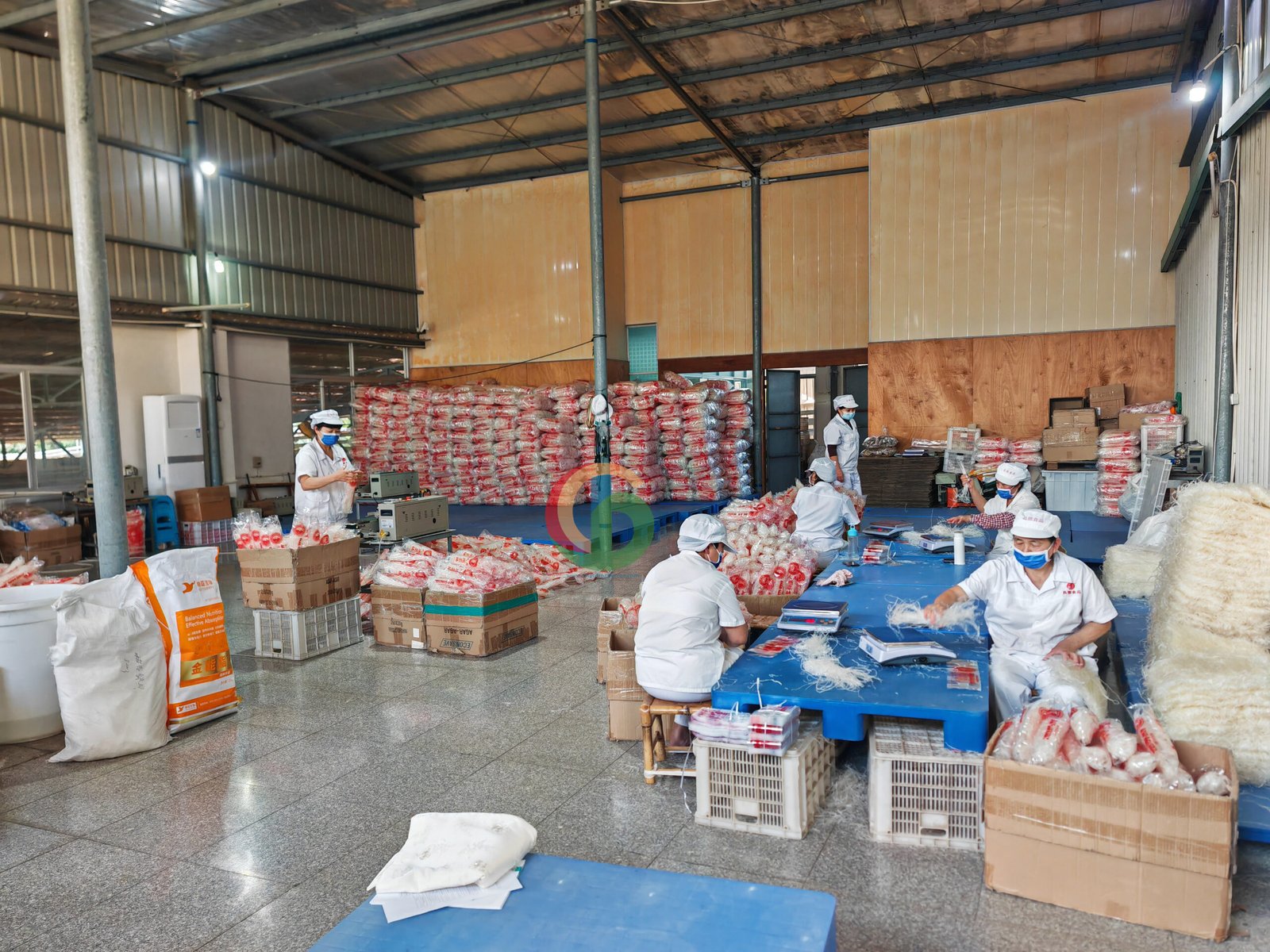 AgarAgar packing — factory floor