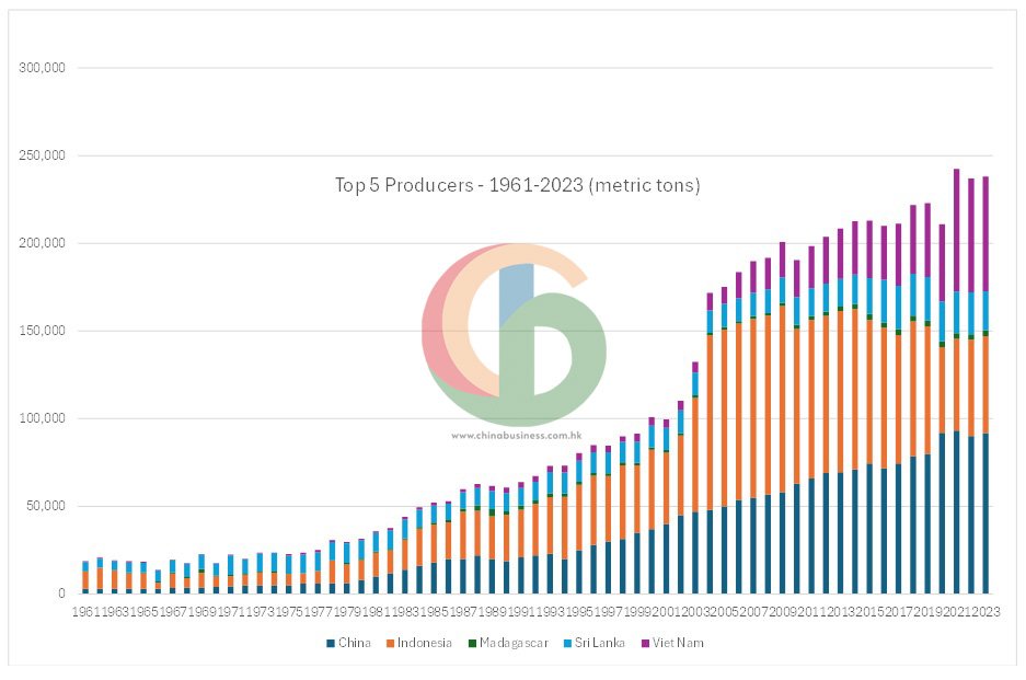 Top 5 Cassia and Cinnamon Producing Countries