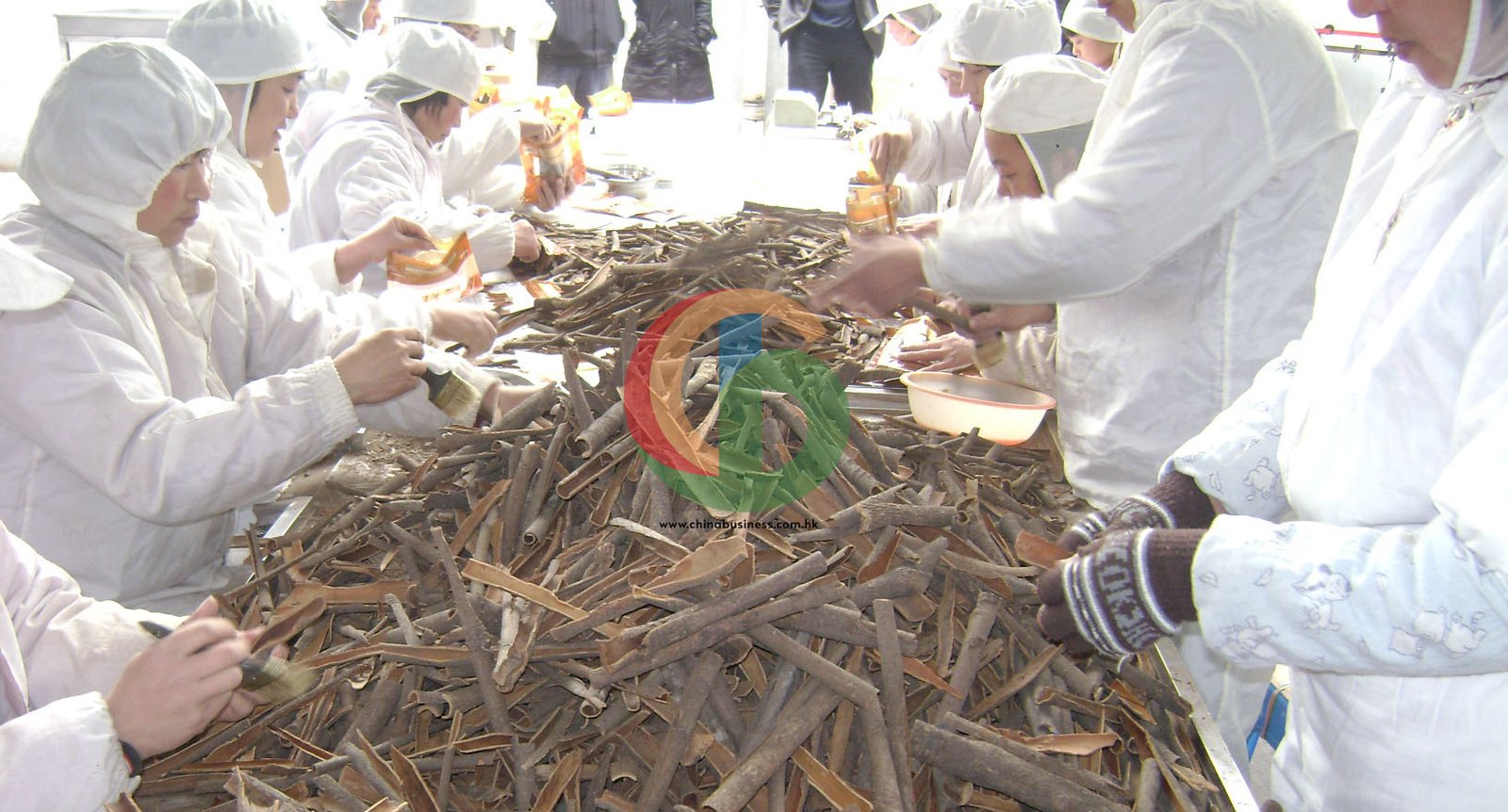 Cassia factory — processing line