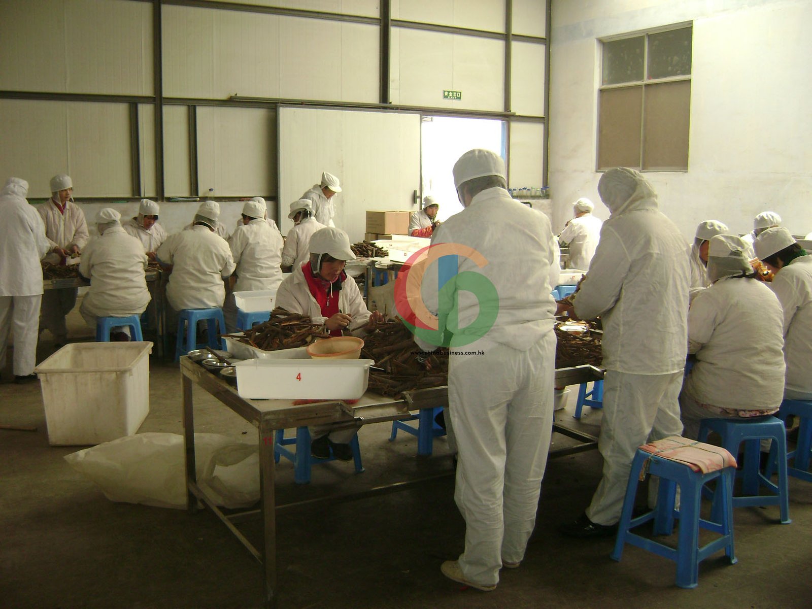 Cassia factory — quality control operations