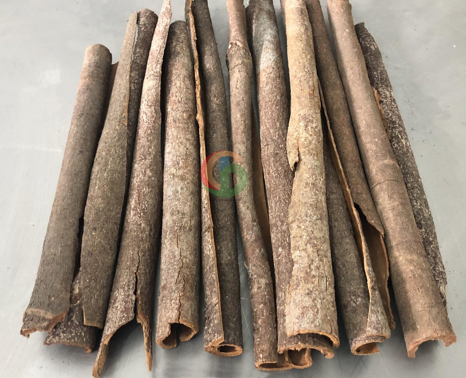 Chinese Cassia HPS — Xijiang River origin
