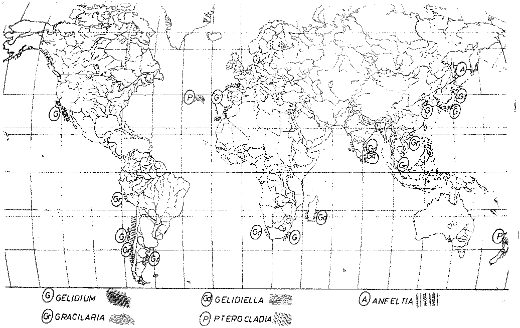 Global distribution map of agarophyte seaweeds