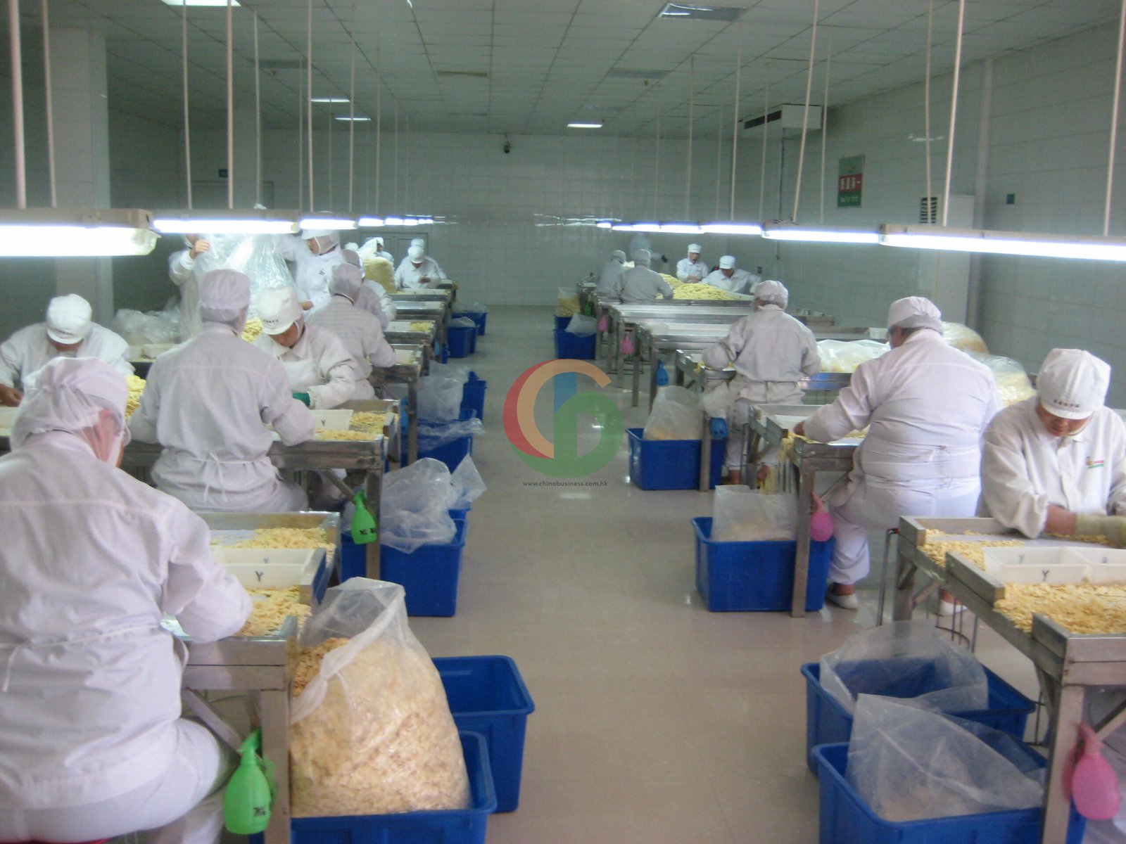 Dehydrated garlic — selection and verification