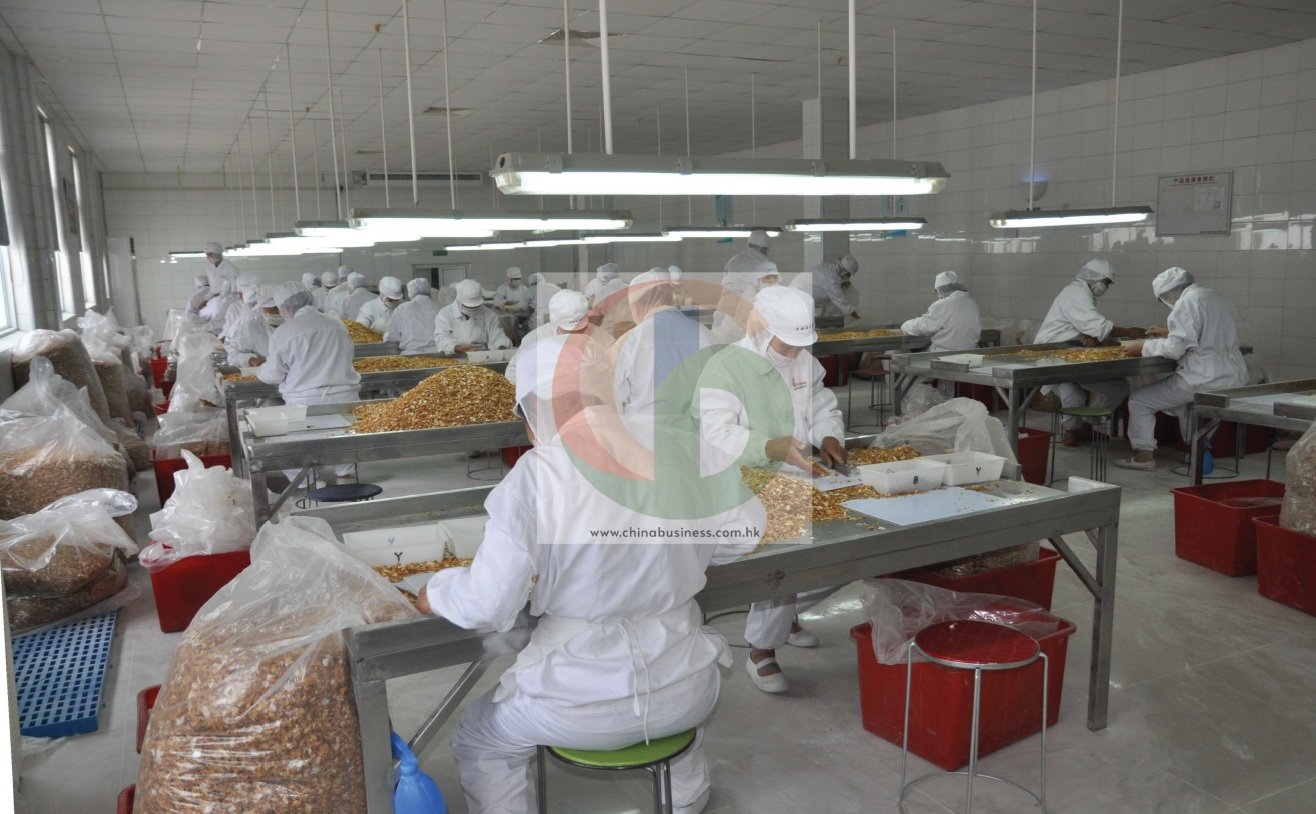 Dehydrated garlic flakes — size and grade selection