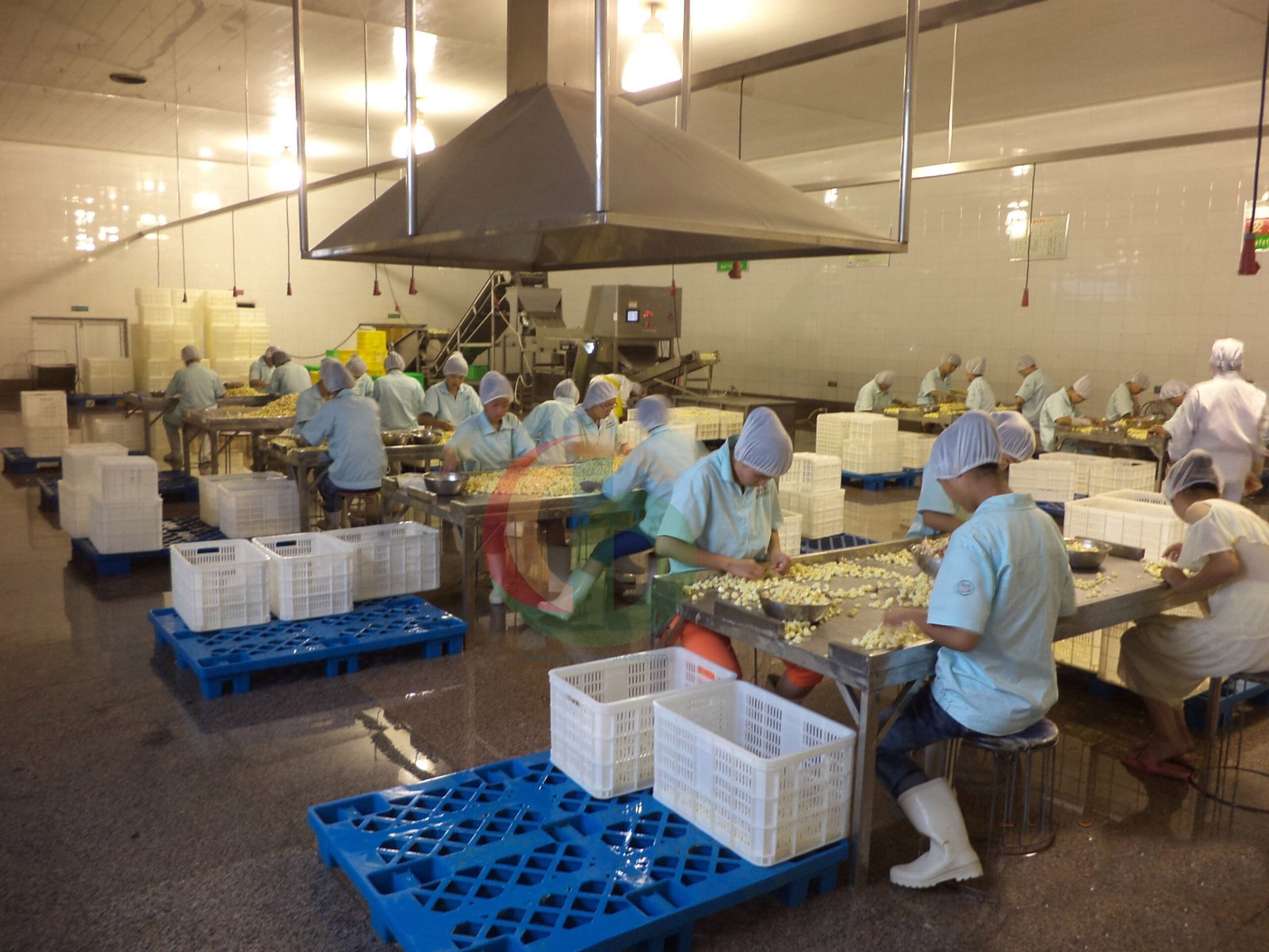 Hand selection — factory floor verification