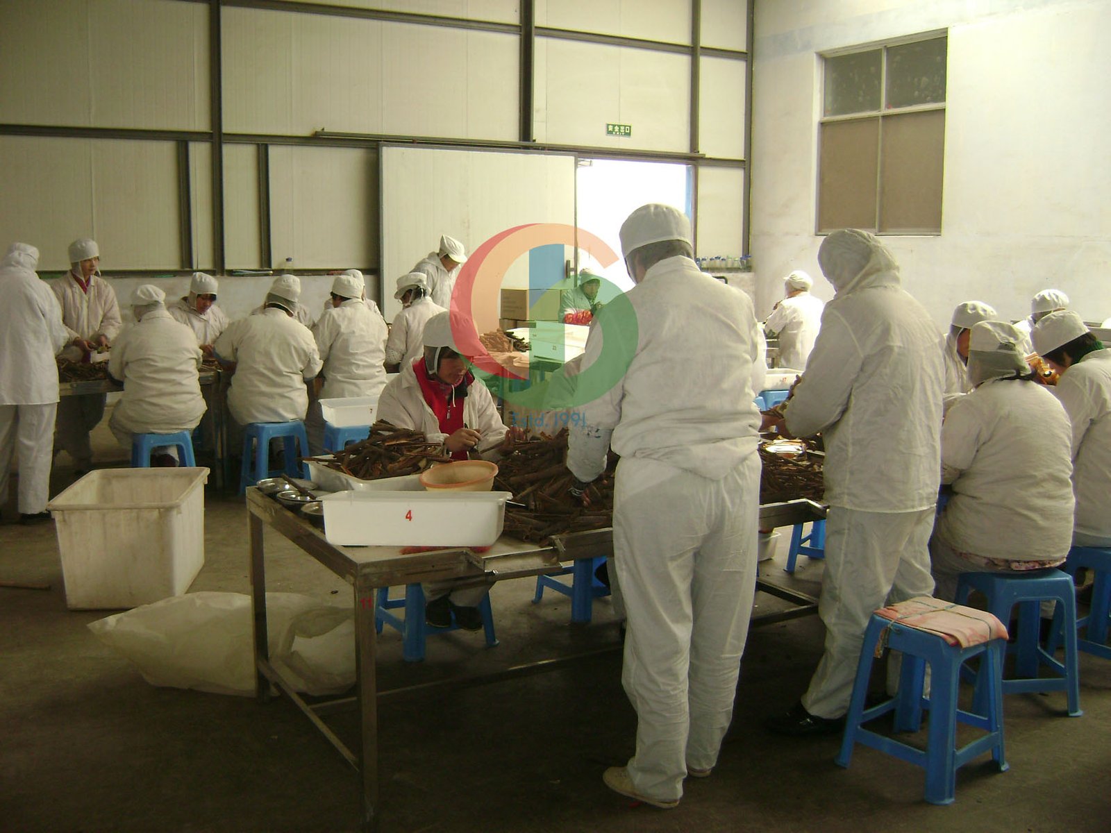 Cassia quality inspection